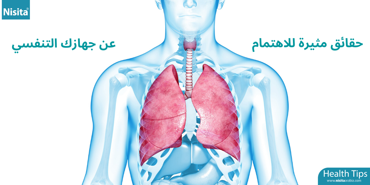 Interesting facts about your respiratory system - Nisita® Arabia